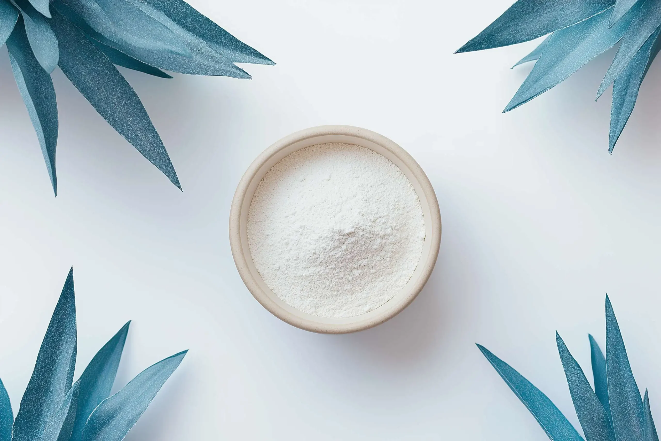 Ingredient Organic Agave Sugar 100 % natural Organic Agave Sugar 100