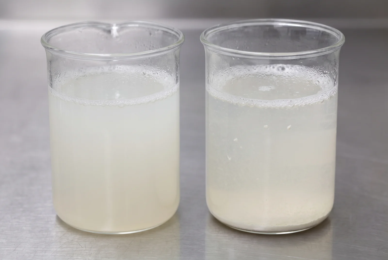 Injektionslake Vergleich zwischen ungelöst und gelöstes Sojaprotein